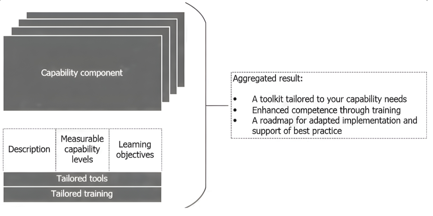Capability Component Structure: Description, Measurable capability levels, Learning objectives, Tailored tools, Tailored training